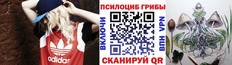 Псилоцибиновые грибы Magic Shrooms  Шатура 