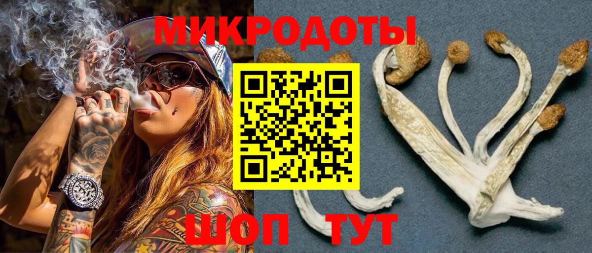 Псилоцибиновые грибы Magic Shrooms  Вход с VPN  Шатура  Псилоцибиновые грибы GOLDEN TEACHER 