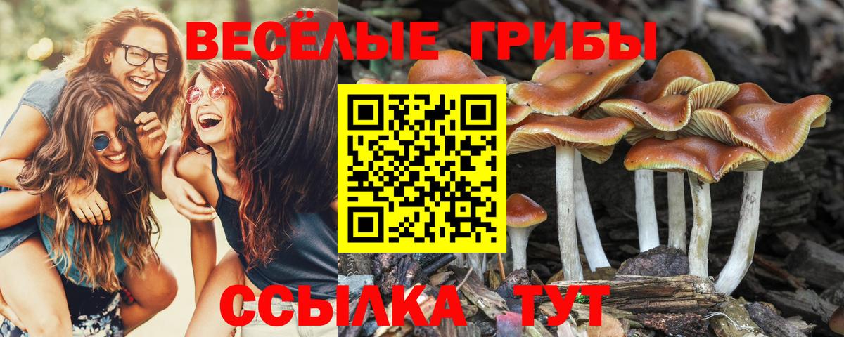 Псилоцибиновые грибы ЛСД  Шатура 