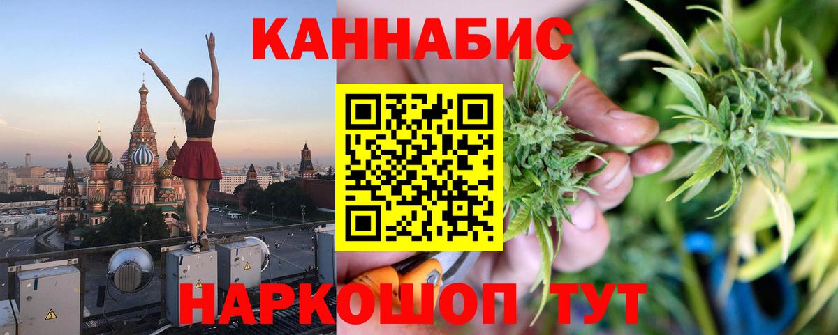 Каннабис сатива Шатура